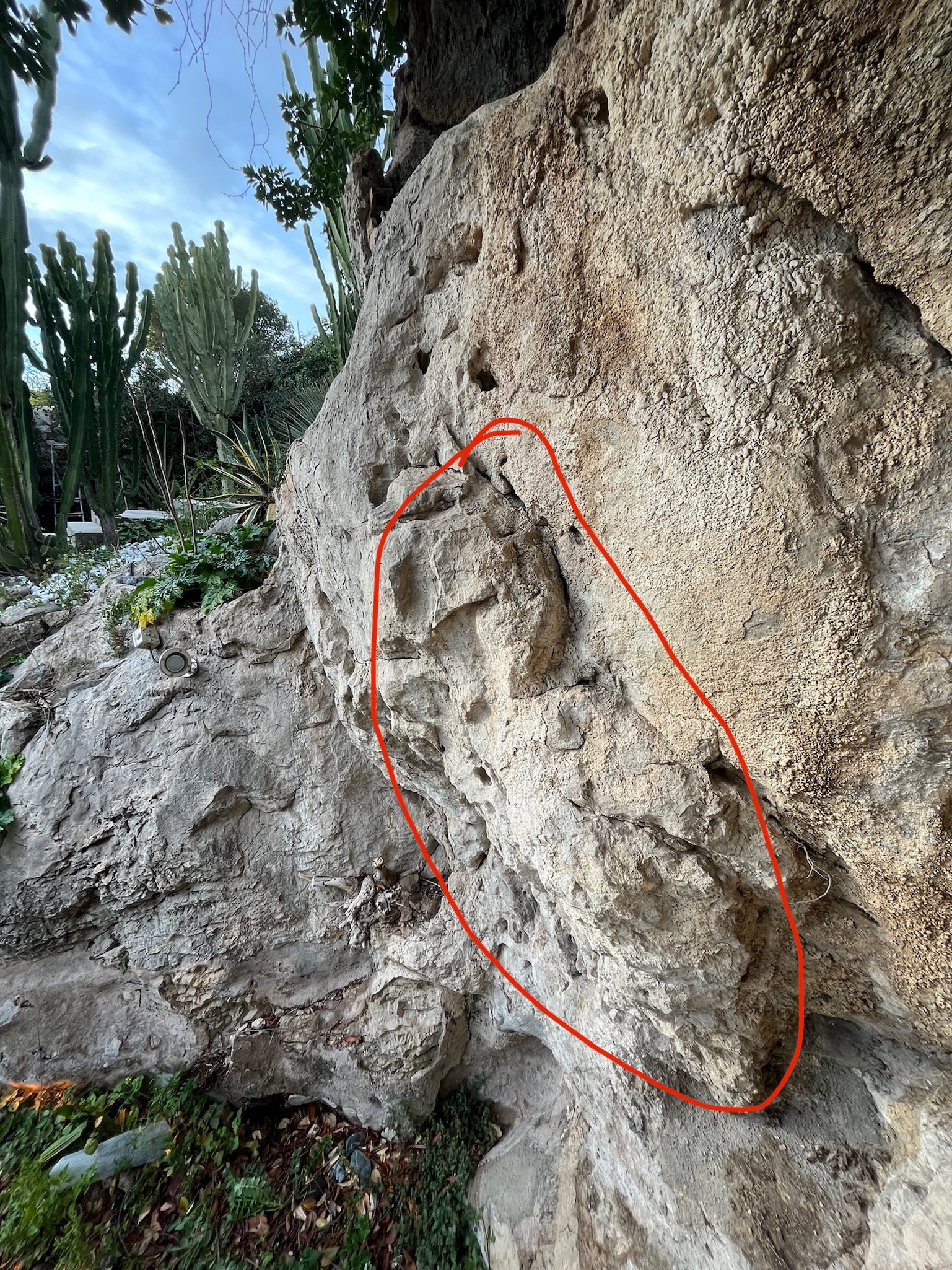 Chantier Roucas - Photo 106